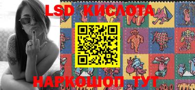 крисы Славгород