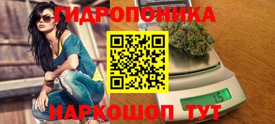 прущая мука Будённовск