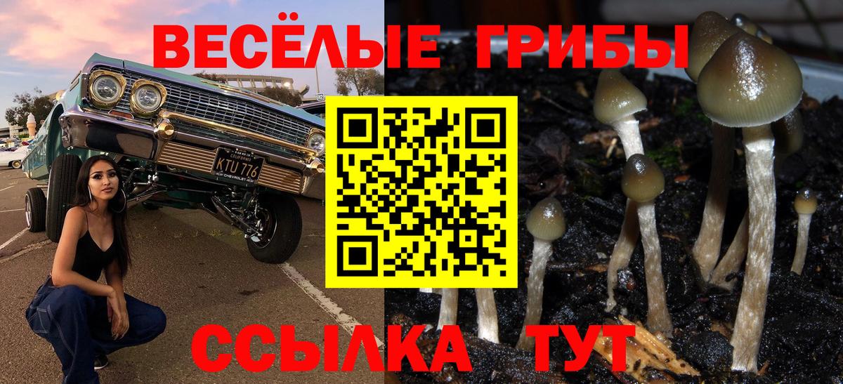 Галлюциногенные грибы ЛСД Петрозаводск