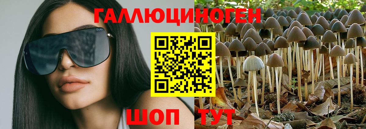Псилоцибиновые грибы Psilocybine cubensis  Вход с VPN  наркота  Петрозаводск 